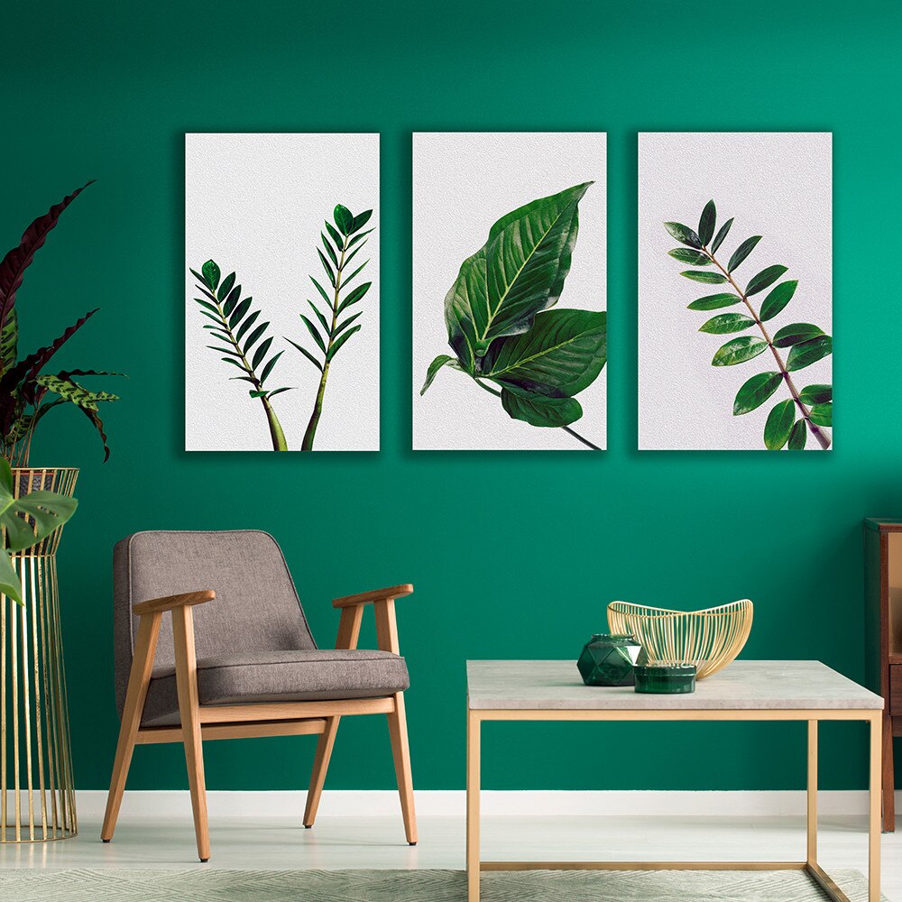 Aspen Slim Black Fabric Frames - Wall Mounted 3 Pack (19MM SEG Extrusion) — Graphic Package / 22 In Width x 36 In Height